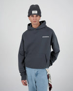 Lade das Bild in den Galerie-Viewer, 10119 Hoodie Grey (Stone Washed)
