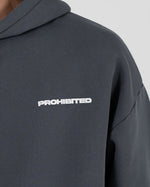 Lade das Bild in den Galerie-Viewer, 10119 Hoodie Grey (Stone Washed)
