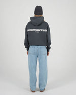 Lade das Bild in den Galerie-Viewer, 10119 Hoodie Grey (Stone Washed)
