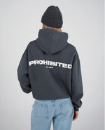 Lade das Bild in den Galerie-Viewer, 10119 Hoodie Grey (Stone Washed)
