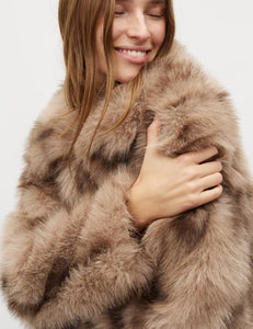 Corvia Jacket Brown Shadow