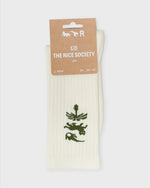 Lade das Bild in den Galerie-Viewer, AVY Organic Crew Socks Ecru/Green
