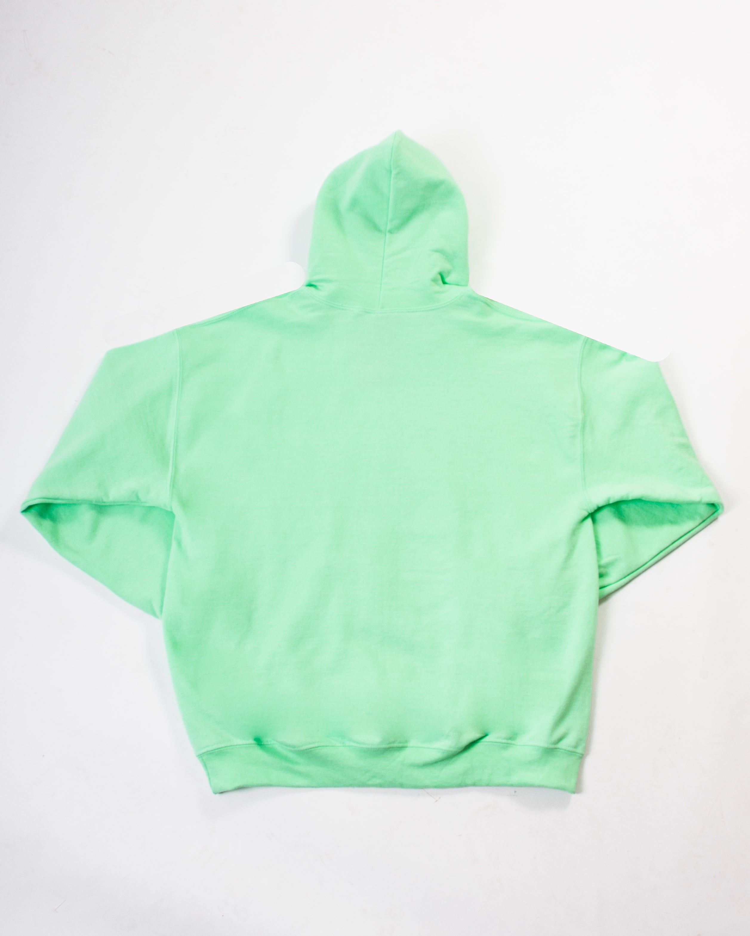 Heavy Hoody Mint Green